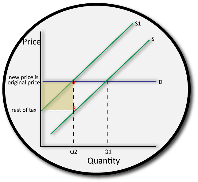 Ib economics tax burden elastic